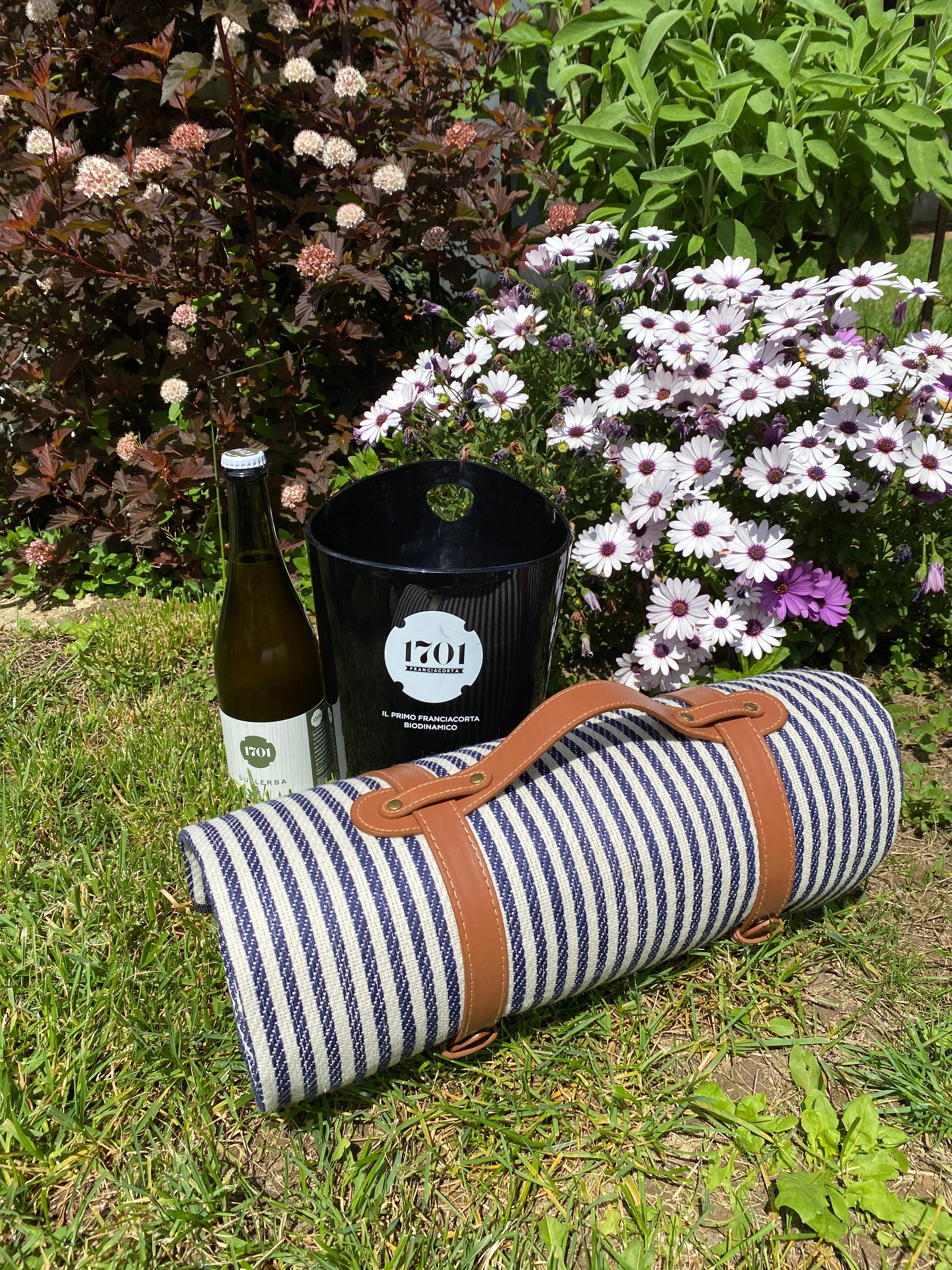 Pacchetto pic-nic perfetto